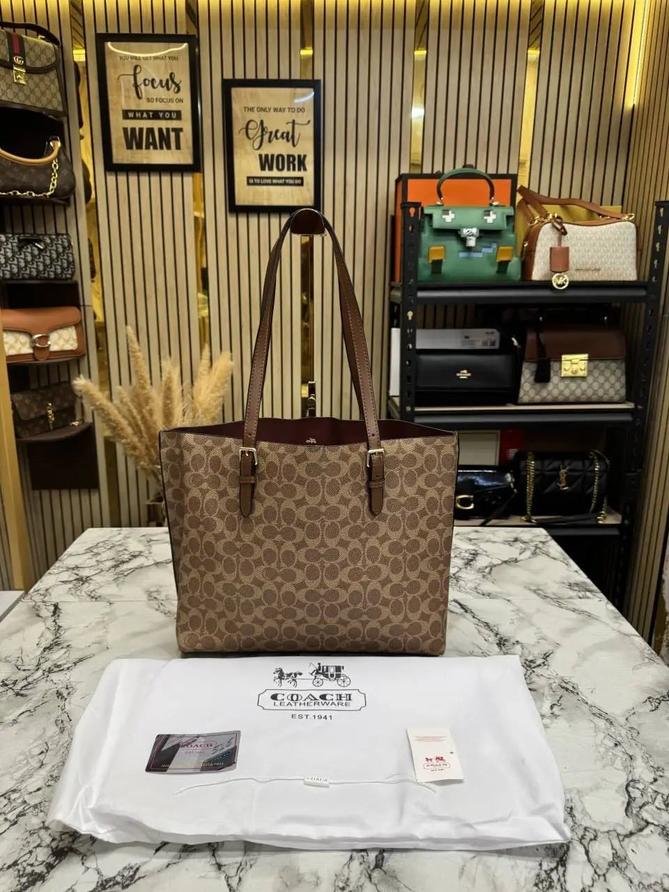 Coach mollie tote bag with dust bag Cv967Brown