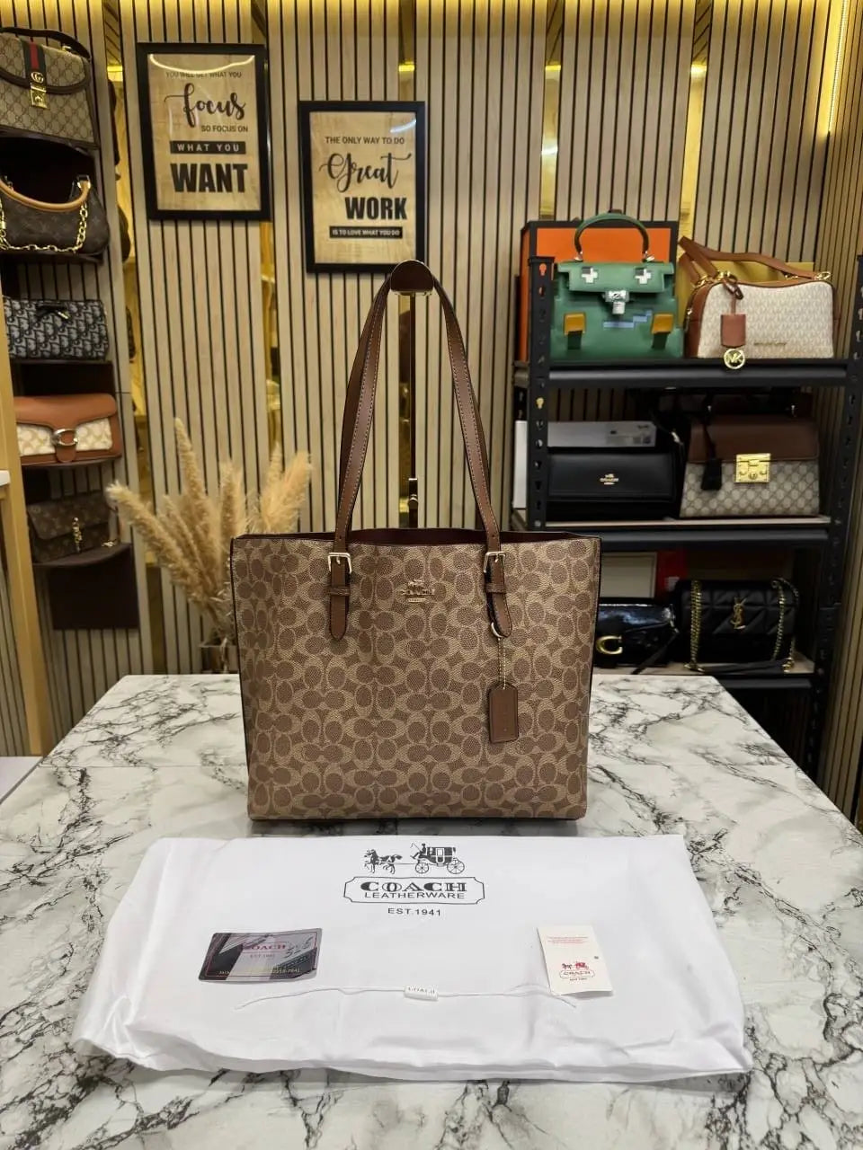 Coach mollie tote bag with dust bag Cv967Brown