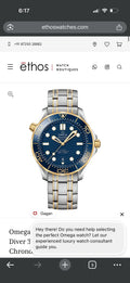 Omeg_a Seamaster Diver 300m automatic 2ton