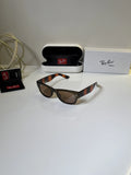 Rayban_832_Olive_Brown