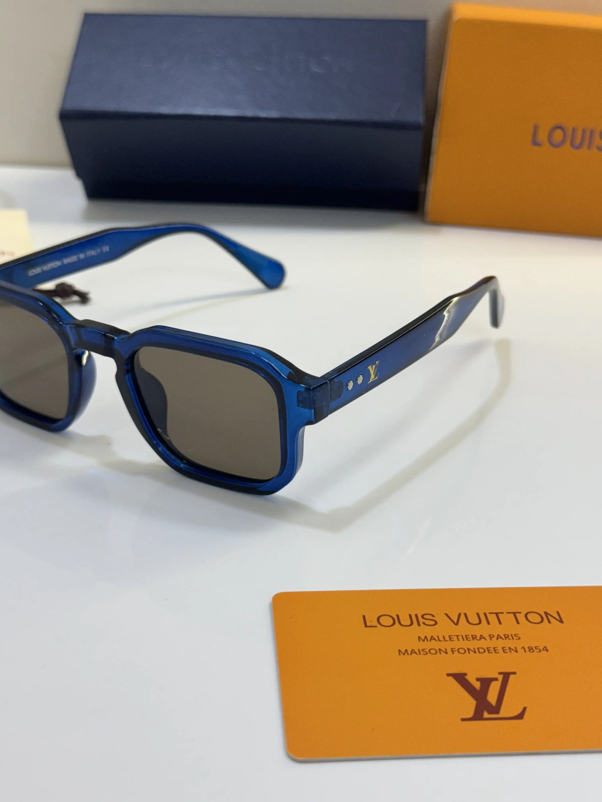 Louis_Vuitton_4954_Brown_Blue