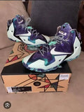 Nik e Lebron 11 Gator king Glow in Dark
