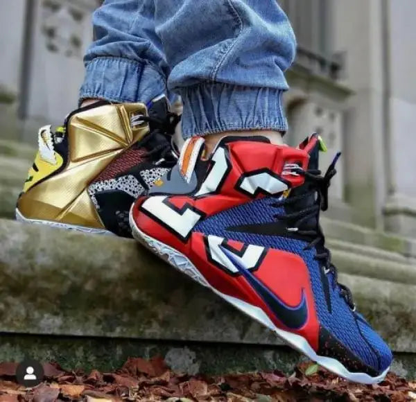 Nik e Lebron 12 What The Lebron