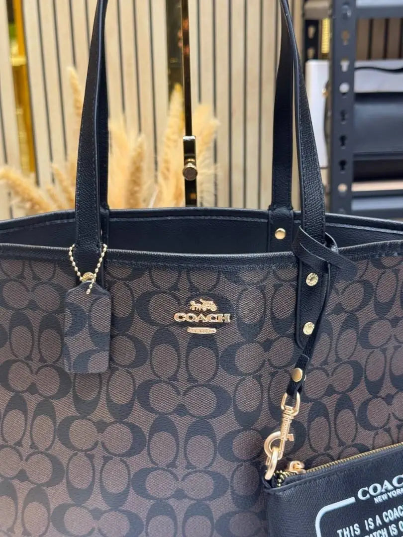Coach City Tote Signature Canvas Tote Bag Including Pouch And Dust Bag Coffee 8020