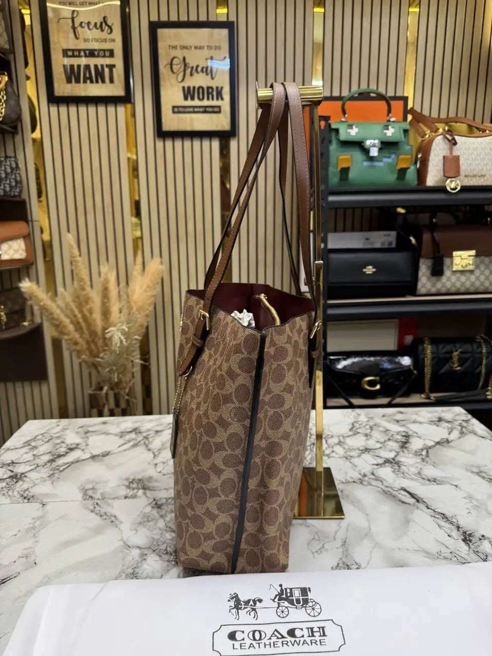Coach mollie tote bag with dust bag Cv967Brown