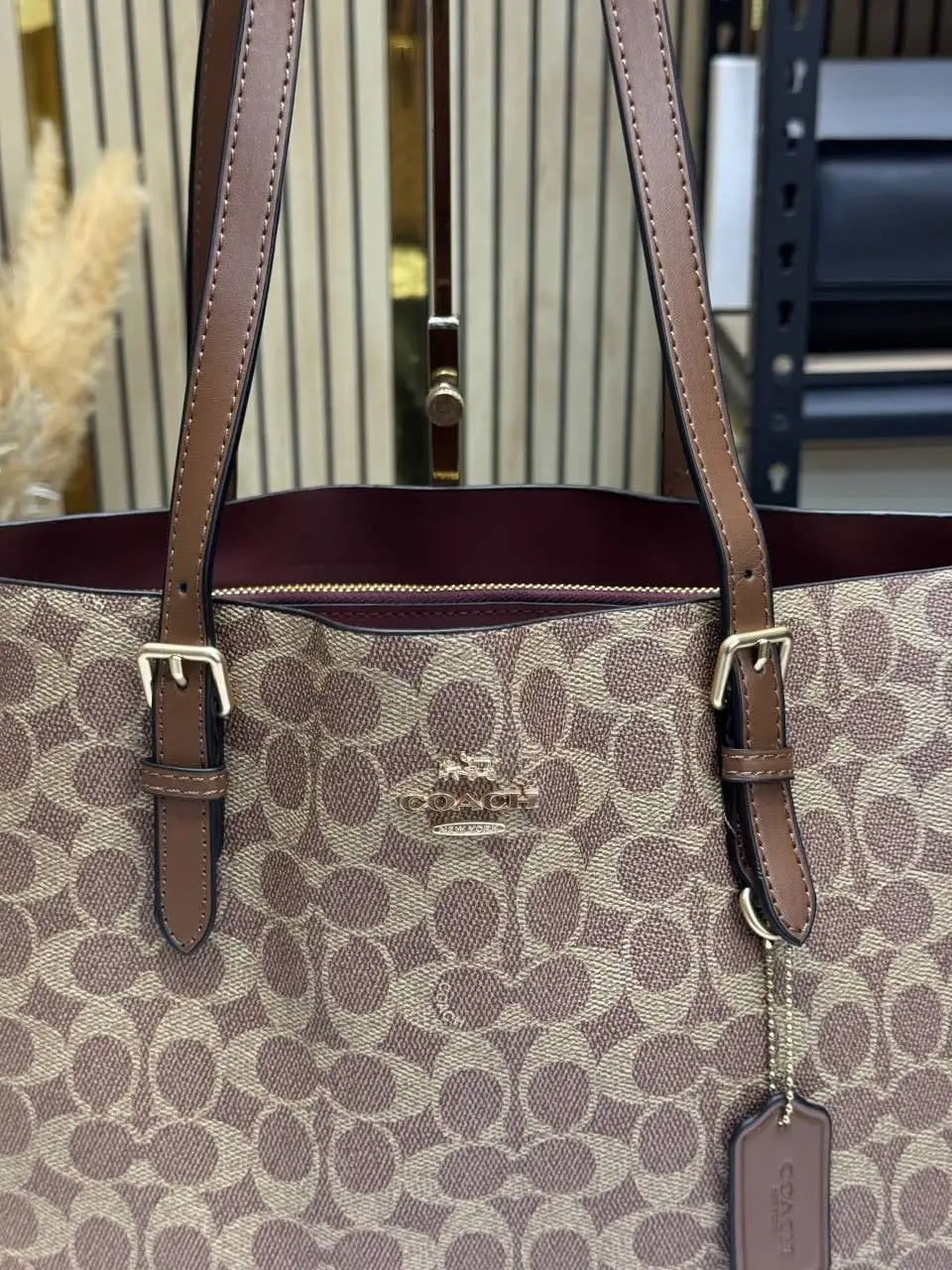 Coach mollie tote bag with dust bag Cv967Brown